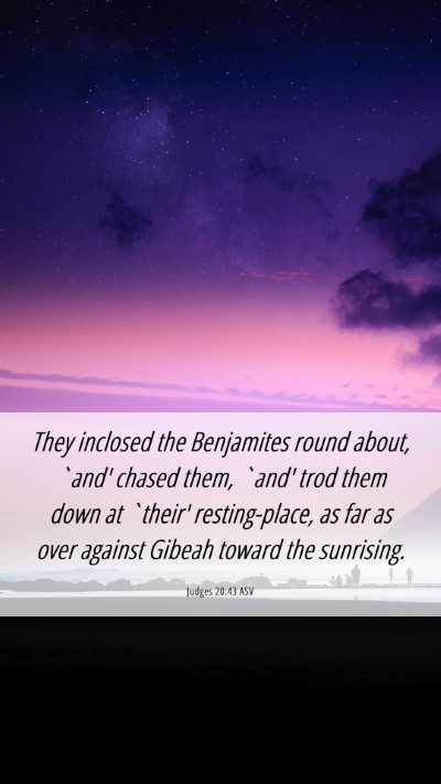 Picture 06 - Judges 20:43 ASV Mobile Phone Wallpaper - They inclosed the Benjamites round about, `and' - Mobile Bible Verse Wallpaper