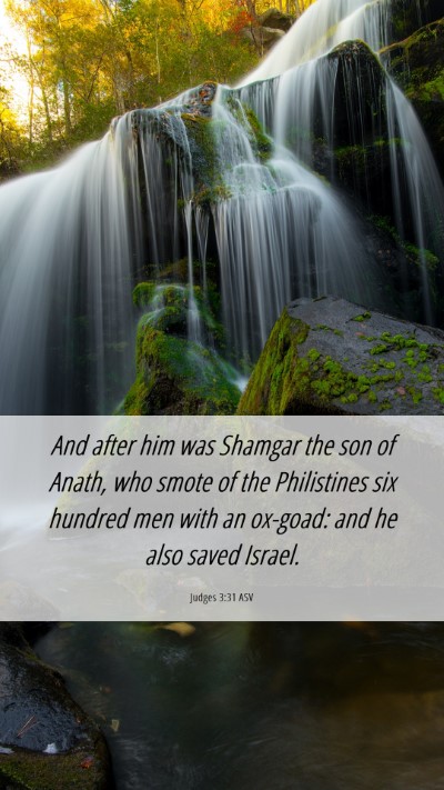 Picture 06 - Judges 3:31 ASV Mobile Phone Wallpaper - And after him was Shamgar the son of Anath, who - Mobile Bible Verse Wallpaper