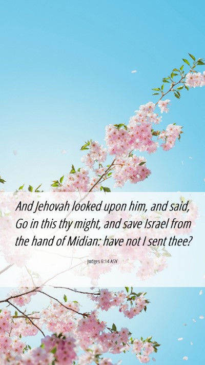 Picture 06 - Judges 6:14 ASV Mobile Phone Wallpaper - And Jehovah looked upon him, and said, Go in this - Mobile Bible Verse Wallpaper