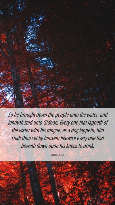 Picture 06 - Judges 7:5 ASV Mobile Phone Wallpaper - So he brought down the people unto the water: and - Mobile Bible Verse Wallpaper