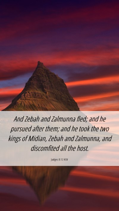Picture 06 - Judges 8:12 ASV Mobile Phone Wallpaper - And Zebah and Zalmunna fled; and he pursued after - Mobile Bible Verse Wallpaper