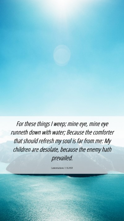Picture 06 - Lamentations 1:16 ASV Mobile Phone Wallpaper - For these things I weep; mine eye, mine eye - Mobile Bible Verse Wallpaper