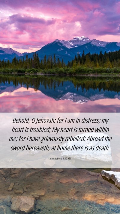 Picture 06 - Lamentations 1:20 ASV Mobile Phone Wallpaper - Behold, O Jehovah; for I am in distress; my heart - Mobile Bible Verse Wallpaper