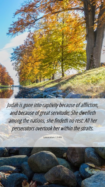 Picture 06 - Lamentations 1:3 ASV Mobile Phone Wallpaper - Judah is gone into captivity because of - Mobile Bible Verse Wallpaper