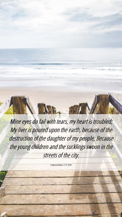 Picture 06 - Lamentations 2:11 ASV Mobile Phone Wallpaper - Mine eyes do fail with tears, my heart is - Mobile Bible Verse Wallpaper
