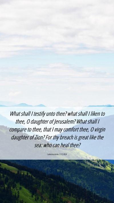 Picture 06 - Lamentations 2:13 ASV Mobile Phone Wallpaper - What shall I testify unto thee? what shall I - Mobile Bible Verse Wallpaper