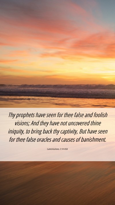 Picture 06 - Lamentations 2:14 ASV Mobile Phone Wallpaper - Thy prophets have seen for thee false and foolish - Mobile Bible Verse Wallpaper