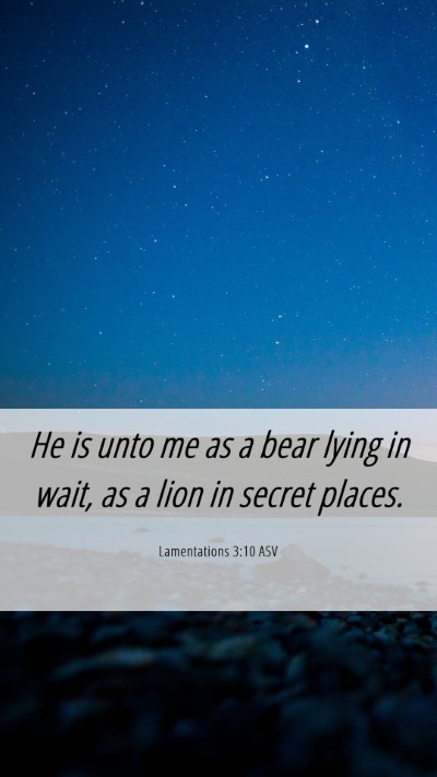 Picture 06 - Lamentations 3:10 ASV Mobile Phone Wallpaper - He is unto me as a bear lying in wait, as a lion - Mobile Bible Verse Wallpaper