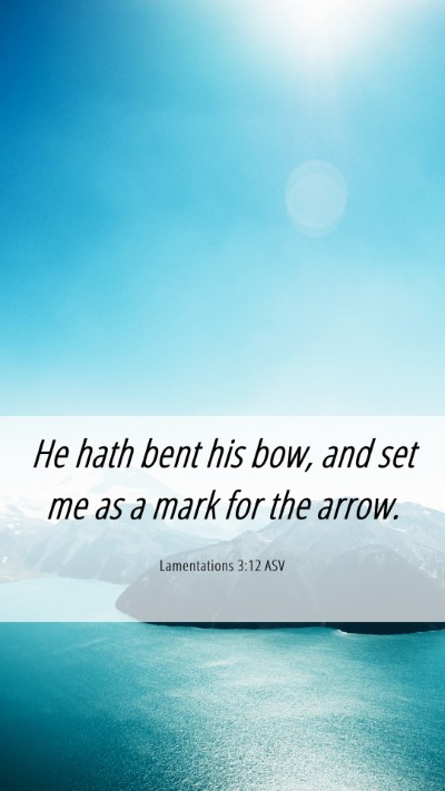 Picture 06 - Lamentations 3:12 ASV Mobile Phone Wallpaper - He hath bent his bow, and set me as a mark for - Mobile Bible Verse Wallpaper