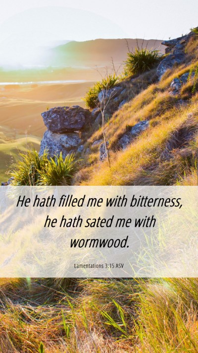 Picture 06 - Lamentations 3:15 ASV Mobile Phone Wallpaper - He hath filled me with bitterness, he hath sated - Mobile Bible Verse Wallpaper