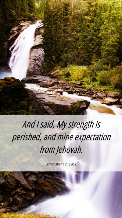 Picture 06 - Lamentations 3:18 ASV Mobile Phone Wallpaper - And I said, My strength is perished, and mine - Mobile Bible Verse Wallpaper