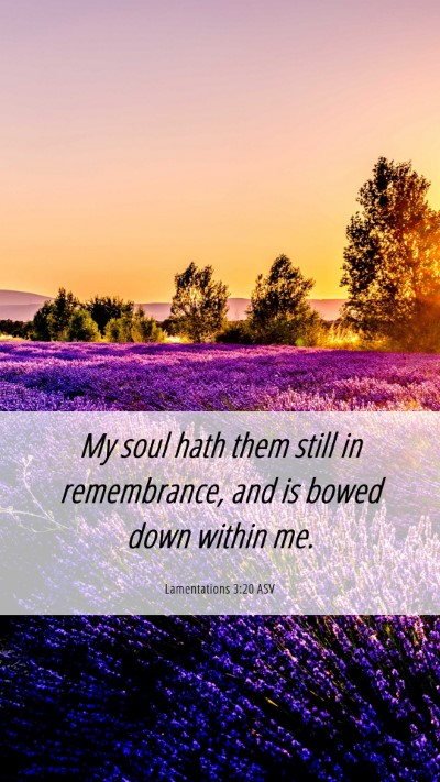 Picture 06 - Lamentations 3:20 ASV Mobile Phone Wallpaper - My soul hath them still in remembrance, and is - Mobile Bible Verse Wallpaper