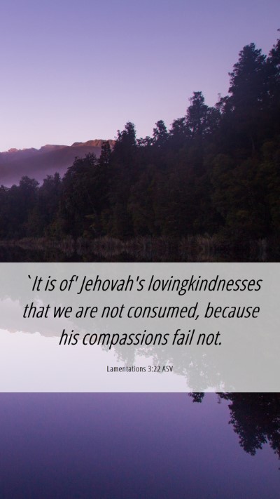 Picture 06 - Lamentations 3:22 ASV Mobile Phone Wallpaper - `It is of' Jehovah's lovingkindnesses that we are - Mobile Bible Verse Wallpaper