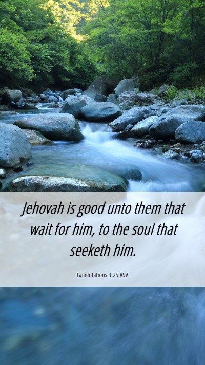 Picture 06 - Lamentations 3:25 ASV Mobile Phone Wallpaper - Jehovah is good unto them that wait for him, to - Mobile Bible Verse Wallpaper