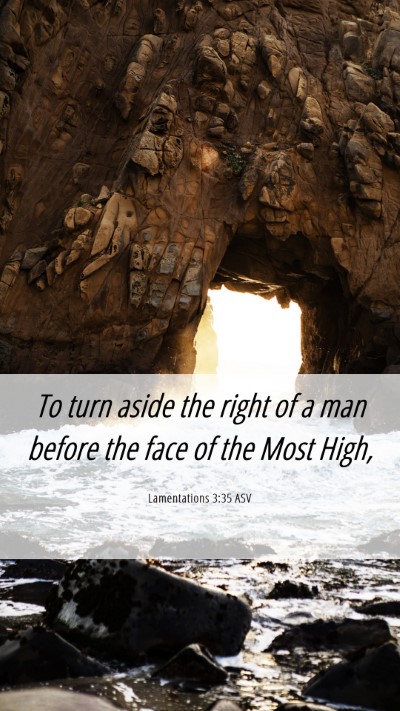 Picture 06 - Lamentations 3:35 ASV Mobile Phone Wallpaper - To turn aside the right of a man before the face - Mobile Bible Verse Wallpaper