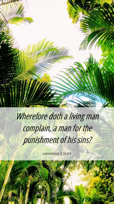 Picture 06 - Lamentations 3:39 ASV Mobile Phone Wallpaper - Wherefore doth a living man complain, a man for - Mobile Bible Verse Wallpaper