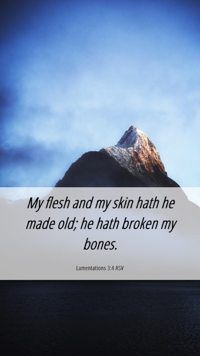 Picture 06 - Lamentations 3:4 ASV Mobile Phone Wallpaper - My flesh and my skin hath he made old; he hath - Mobile Bible Verse Wallpaper