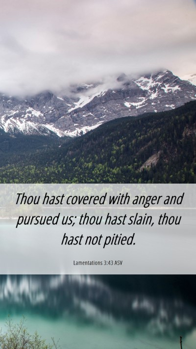 Picture 06 - Lamentations 3:43 ASV Mobile Phone Wallpaper - Thou hast covered with anger and pursued us; thou - Mobile Bible Verse Wallpaper