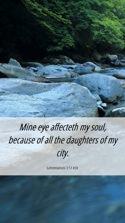 Picture 06 - Lamentations 3:51 ASV Mobile Phone Wallpaper - Mine eye affecteth my soul, because of all the - Mobile Bible Verse Wallpaper