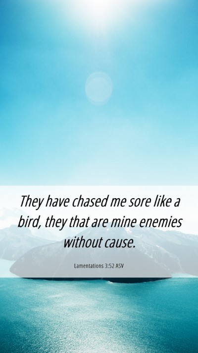 Picture 06 - Lamentations 3:52 ASV Mobile Phone Wallpaper - They have chased me sore like a bird, they that - Mobile Bible Verse Wallpaper