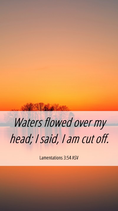 Picture 06 - Lamentations 3:54 ASV Mobile Phone Wallpaper - Waters flowed over my head; I said, I am cut - Mobile Bible Verse Wallpaper