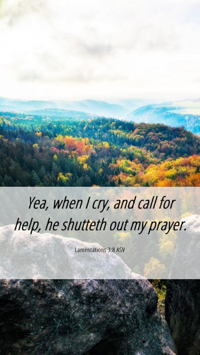 Picture 06 - Lamentations 3:8 ASV Mobile Phone Wallpaper - Yea, when I cry, and call for help, he shutteth - Mobile Bible Verse Wallpaper