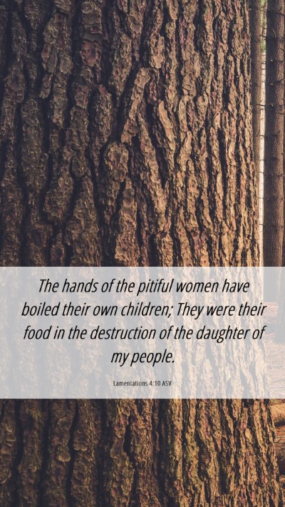 Picture 06 - Lamentations 4:10 ASV Mobile Phone Wallpaper - The hands of the pitiful women have boiled their - Mobile Bible Verse Wallpaper