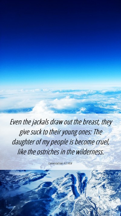 Picture 06 - Lamentations 4:3 ASV Mobile Phone Wallpaper - Even the jackals draw out the breast, they give - Mobile Bible Verse Wallpaper
