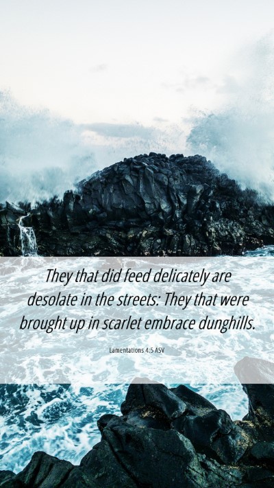 Picture 06 - Lamentations 4:5 ASV Mobile Phone Wallpaper - They that did feed delicately are desolate in the - Mobile Bible Verse Wallpaper