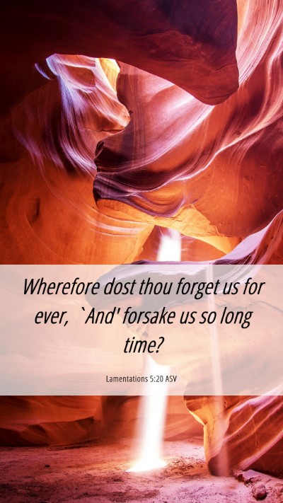 Picture 06 - Lamentations 5:20 ASV Mobile Phone Wallpaper - Wherefore dost thou forget us for ever, `And' - Mobile Bible Verse Wallpaper