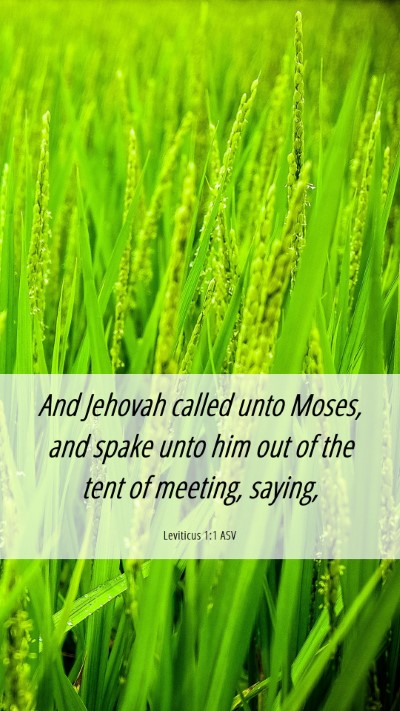 Picture 06 - Leviticus 1:1 ASV Mobile Phone Wallpaper - And Jehovah called unto Moses, and spake unto him - Mobile Bible Verse Wallpaper