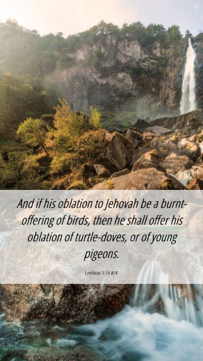 Picture 06 - Leviticus 1:14 ASV Mobile Phone Wallpaper - And if his oblation to Jehovah be a - Mobile Bible Verse Wallpaper