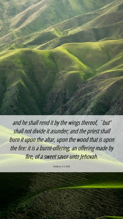 Picture 06 - Leviticus 1:17 ASV Mobile Phone Wallpaper - and he shall rend it by the wings thereof, `but' - Mobile Bible Verse Wallpaper