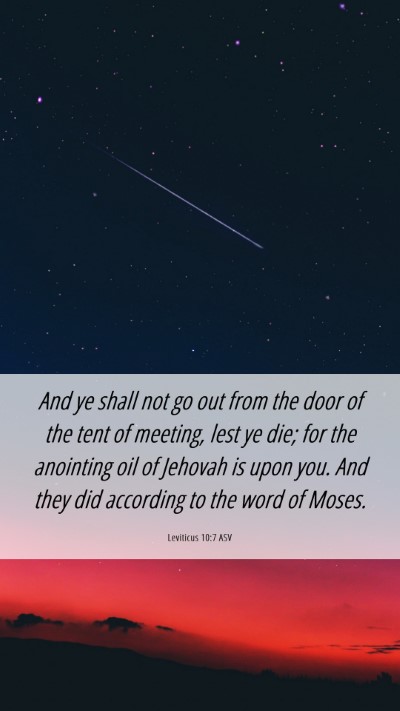 Picture 06 - Leviticus 10:7 ASV Mobile Phone Wallpaper - And ye shall not go out from the door of the tent - Mobile Bible Verse Wallpaper