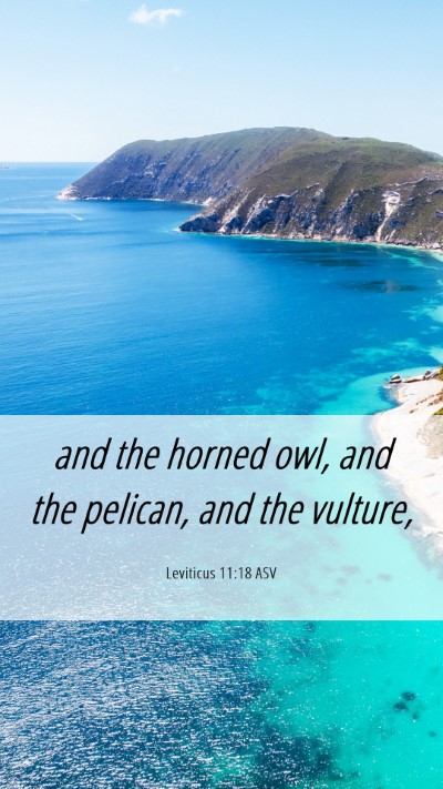 Picture 06 - Leviticus 11:18 ASV Mobile Phone Wallpaper - and the horned owl, and the pelican, and the - Mobile Bible Verse Wallpaper