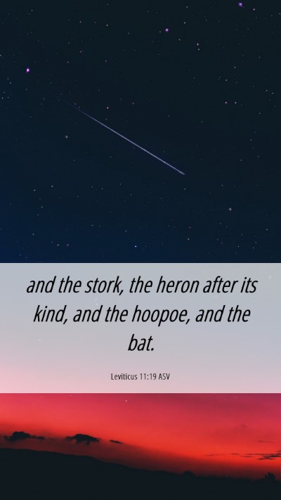 Picture 06 - Leviticus 11:19 ASV Mobile Phone Wallpaper - and the stork, the heron after its kind, and the - Mobile Bible Verse Wallpaper