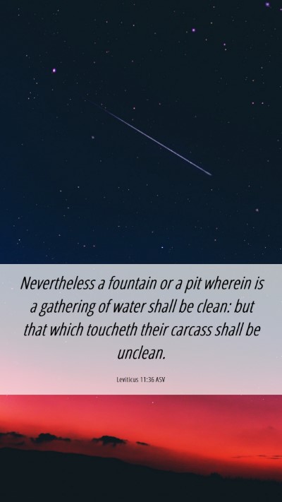 Picture 06 - Leviticus 11:36 ASV Mobile Phone Wallpaper - Nevertheless a fountain or a pit wherein is a - Mobile Bible Verse Wallpaper