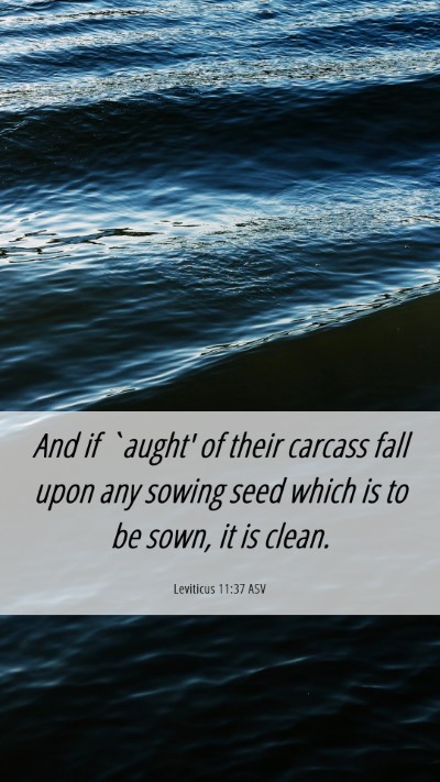 Picture 06 - Leviticus 11:37 ASV Mobile Phone Wallpaper - And if `aught' of their carcass fall upon any - Mobile Bible Verse Wallpaper