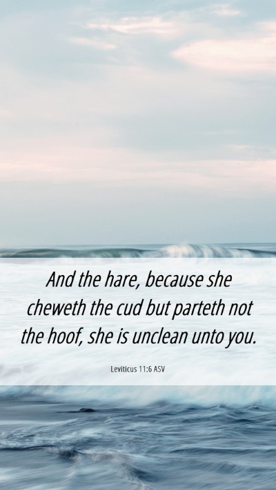 Picture 06 - Leviticus 11:6 ASV Mobile Phone Wallpaper - And the hare, because she cheweth the cud but - Mobile Bible Verse Wallpaper