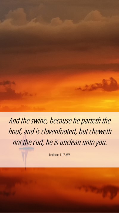 Picture 06 - Leviticus 11:7 ASV Mobile Phone Wallpaper - And the swine, because he parteth the hoof, and - Mobile Bible Verse Wallpaper