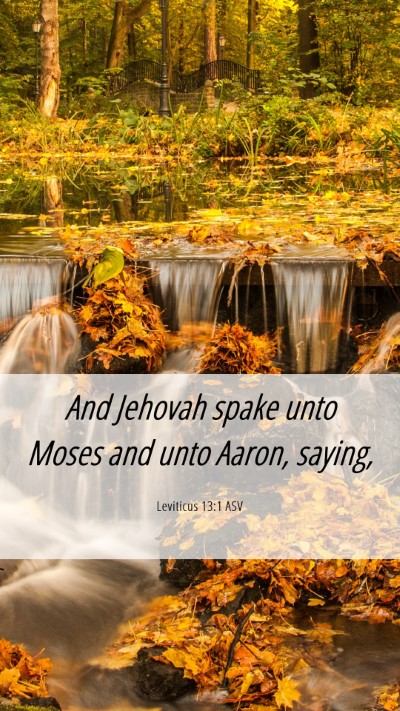 Picture 06 - Leviticus 13:1 ASV Mobile Phone Wallpaper - And Jehovah spake unto Moses and unto Aaron, - Mobile Bible Verse Wallpaper