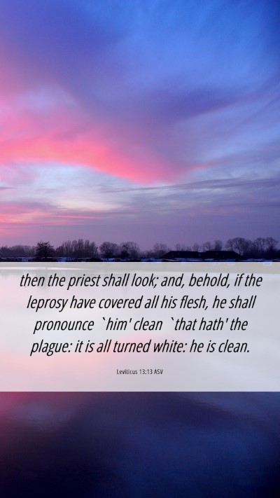 Picture 06 - Leviticus 13:13 ASV Mobile Phone Wallpaper - then the priest shall look; and, behold, if the - Mobile Bible Verse Wallpaper