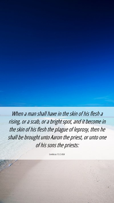 Picture 06 - Leviticus 13:2 ASV Mobile Phone Wallpaper - When a man shall have in the skin of his flesh a - Mobile Bible Verse Wallpaper