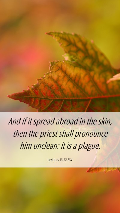 Picture 06 - Leviticus 13:22 ASV Mobile Phone Wallpaper - And if it spread abroad in the skin, then the - Mobile Bible Verse Wallpaper