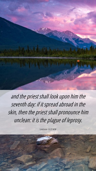 Picture 06 - Leviticus 13:27 ASV Mobile Phone Wallpaper - and the priest shall look upon him the seventh - Mobile Bible Verse Wallpaper