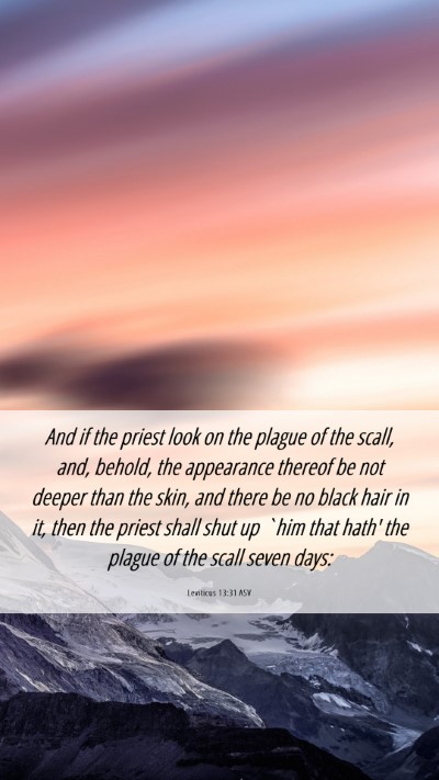 Picture 06 - Leviticus 13:31 ASV Mobile Phone Wallpaper - And if the priest look on the plague of the - Mobile Bible Verse Wallpaper