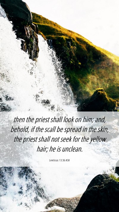 Picture 06 - Leviticus 13:36 ASV Mobile Phone Wallpaper - then the priest shall look on him; and, behold, - Mobile Bible Verse Wallpaper