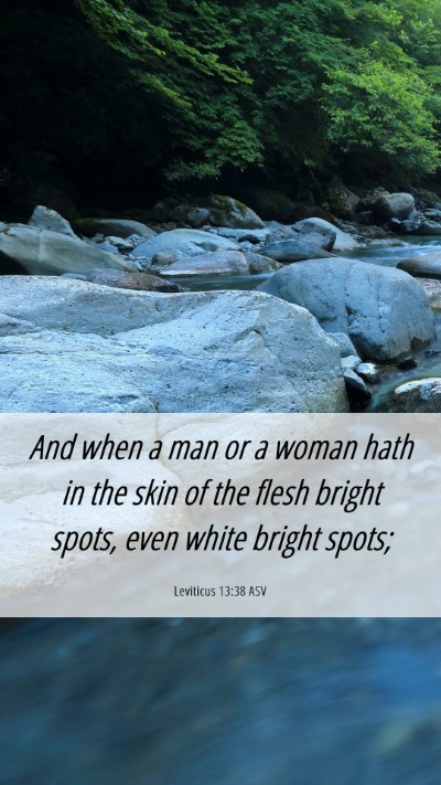 Picture 06 - Leviticus 13:38 ASV Mobile Phone Wallpaper - And when a man or a woman hath in the skin of the - Mobile Bible Verse Wallpaper