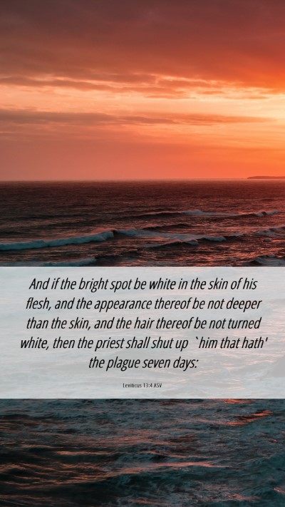 Picture 06 - Leviticus 13:4 ASV Mobile Phone Wallpaper - And if the bright spot be white in the skin of - Mobile Bible Verse Wallpaper