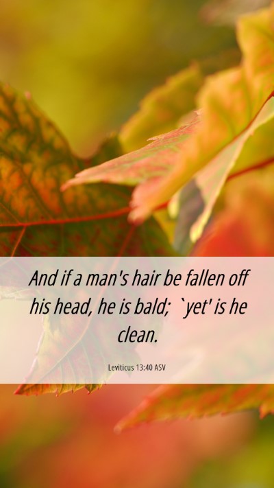 Picture 06 - Leviticus 13:40 ASV Mobile Phone Wallpaper - And if a man's hair be fallen off his head, he is - Mobile Bible Verse Wallpaper